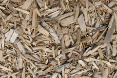 biomass boilers Walshes